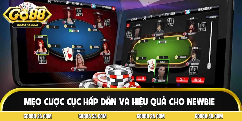 Mẹo cược cực hấp dẫn và hiệu quả cho newbie