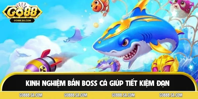 Tối ưu từng viên đạn để nâng cao hiệu quả săn trùm